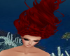 *PRN*Mermaid's Hair