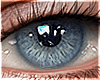 Eyes | Bright Blue