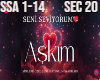 Seni Seviyorum Askim