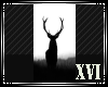 XVI | The Deer