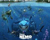 Room-Nemo