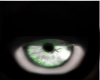 ~P~D Green Eren Eyes