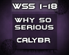 {WSS} Why So Serious