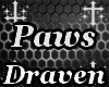 Sutetchi |F.Paws