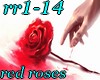 rr1-14 red roses epic