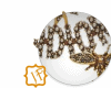 Earrings J'adior