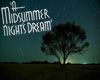 MidSummers nights dream
