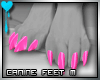 D~Canine Feet:Pink2 M