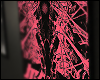 O1ㅤ