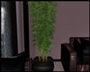 eAe Plant/New
