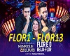 A Flor e o Beija Flor