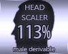 Head Resizer 113%