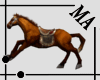 {MA}brown horse
