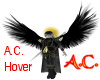 AC Hover 1