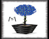 M-Tree Plant