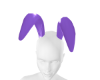 Venjii Purple Bunny Ears