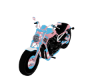 TransGender Motorcycle