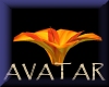 Avatar Flower animated