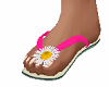 Pink Daisy Flip Flops