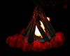 {SD}Camp Fire
