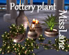 !ML! Pottery plant