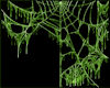 JN Green Web