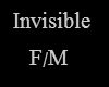 HB invisible avi F/M