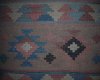 native print couch