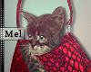 Mel*Kiani Kitty Bag 1