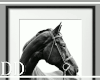 Horse Frame 01