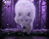 Purple wolf picture