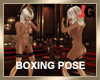 Boxing Pose
