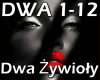 DWA ŻYWIOŁY