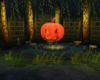 Halloween Pumpkin Head