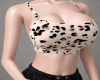 Des Casual Set