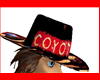 Coyote Ughly Hat an Hair