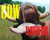 Funny Cow Sounds