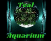 Teal Aquarium