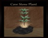 ~SE~Cave Stone Plant