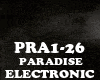 ELECTRONIC-PARADISE