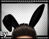 *LY* Bunny Ears Animate