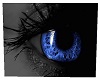 [Jaz]Blue Eye Picture