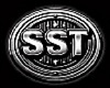 frame logo sst