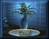 [my]Chill Club Plant