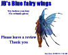 JB's blue fairy wings