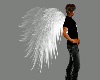 SL Angel Wings F/M