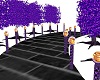 Purple Romance Path