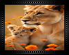 🦁 Baby Lion & Mom C/o