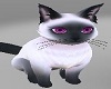 Sphynx Cat