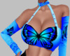 butterfly top xd